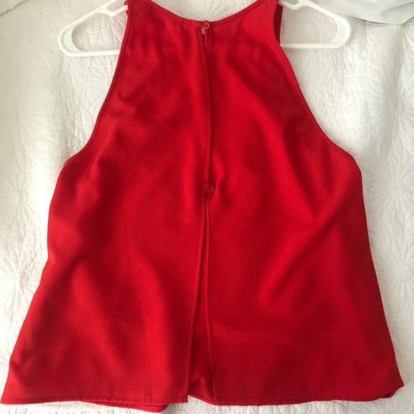 Set of Two American Apparel Flowy Tanktops - Picture 6 of 7